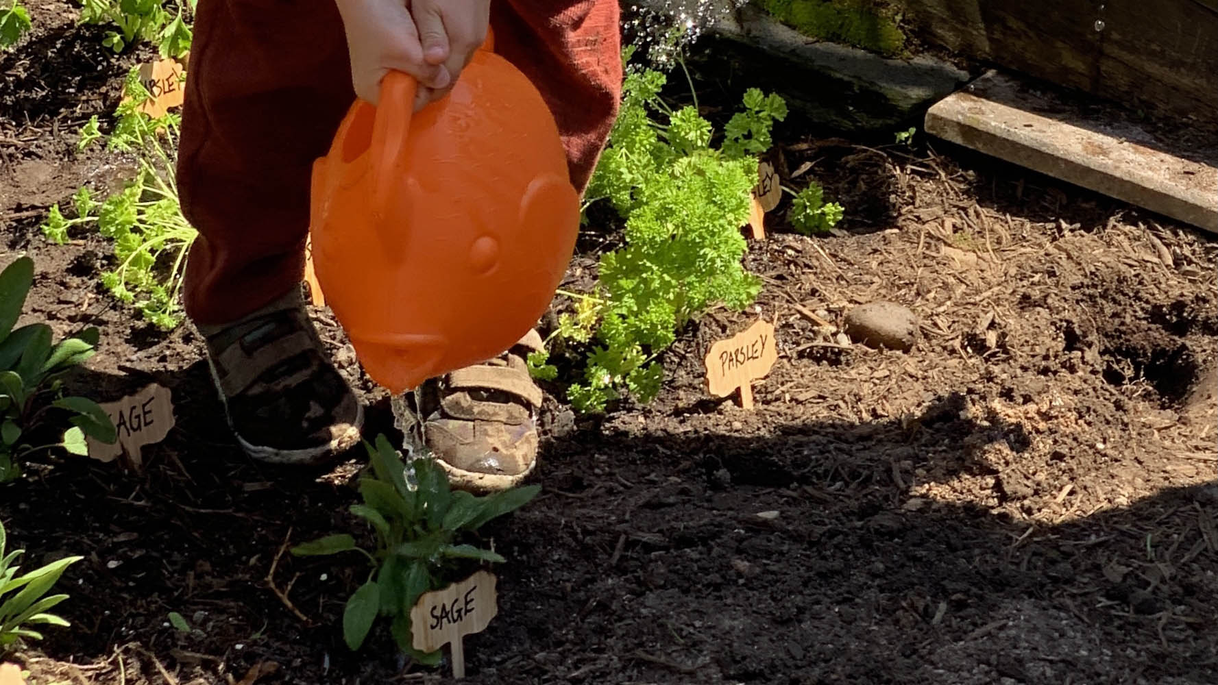 Helping Our Garden Grow